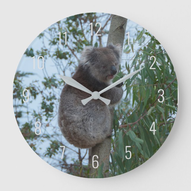 Reloj Redondo Grande Cute Koala escalando en un árbol Australia (Anverso)
