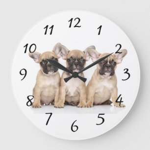 Reloj Redondo Grande Cute little French Bulldogs