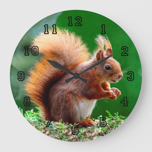 Reloj Redondo Grande Cute Squirrel on Grass Clock (Anverso)