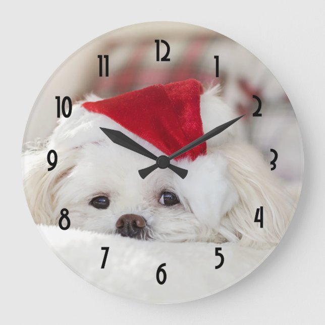 Reloj Redondo Grande Cute White Dog in a Red Christmas Hat