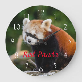 Reloj Redondo Grande Cute Wild Red Panda Nature Foto Texto rojo