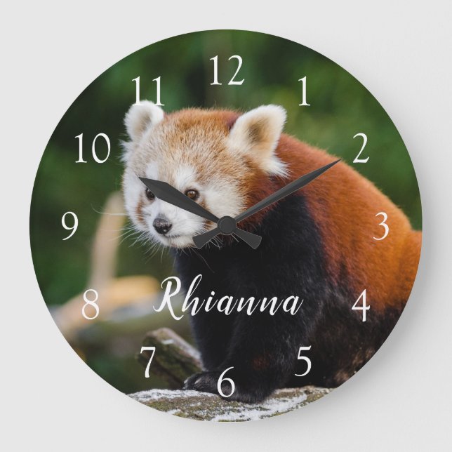 Reloj Redondo Grande Cute Wild Red Panda Photo Personalized (Anverso)