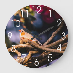 Reloj Redondo Grande Cute Zebra Finch On Twigs