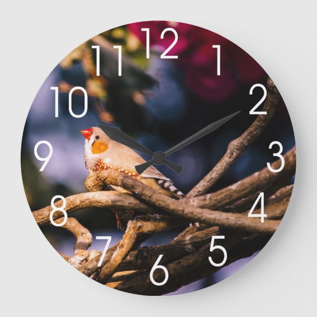 Reloj Redondo Grande Cute Zebra Finch On Twigs (Anverso)