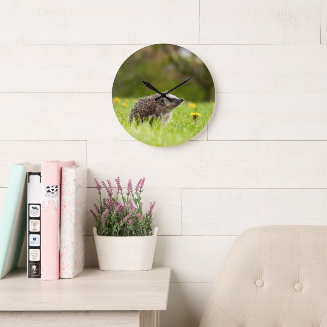 Reloj Redondo Grande Cutest Baby Animals | European Hedgehog (Sala de lectura)