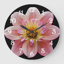 Reloj Redondo Grande Dahlia Collarette Rosa sobre Floral Negro