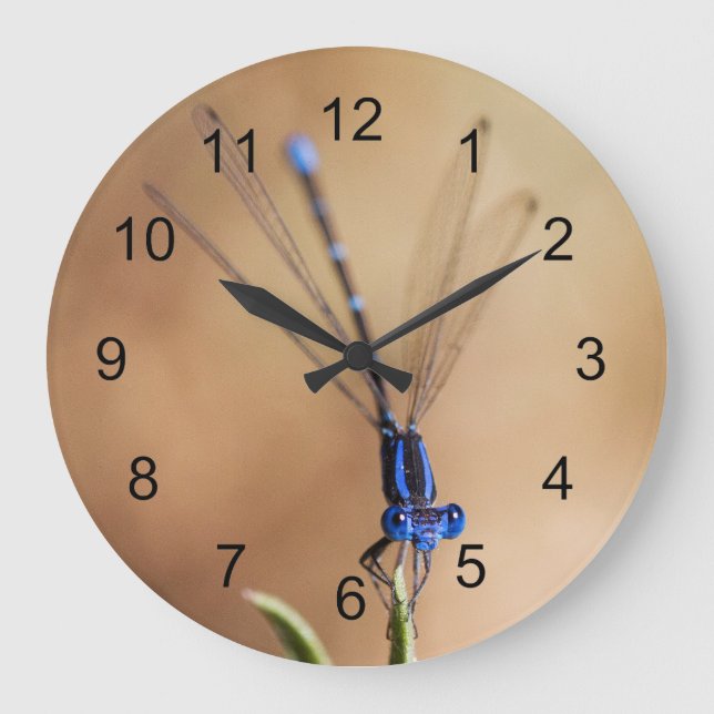 Reloj Redondo Grande Danza de la Damselfly (Anverso)