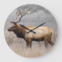 Deer Stag Animals Wildlife Nature Buck