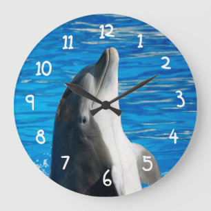 Reloj Redondo Grande Delfín de Bottlenose
