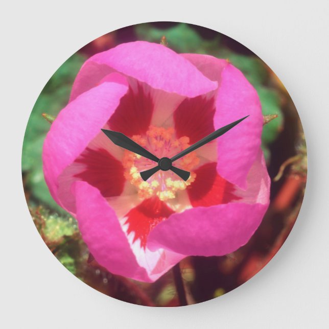 Reloj Redondo Grande Desert Five Spot Wildflower (Anverso)