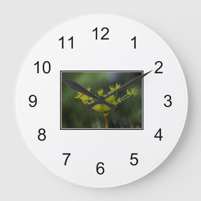 Reloj Redondo Grande Dill weed delight (Anverso)