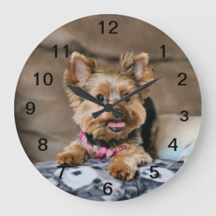 Reloj Redondo Grande Dínamo pequeño