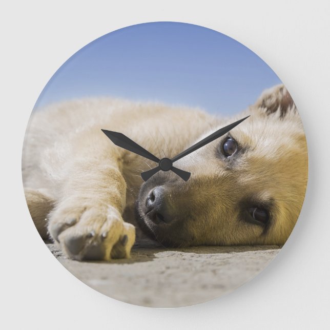 Reloj Redondo Grande dog (Anverso)