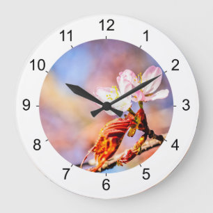 Reloj Redondo Grande Dos Flores Asombrosas De Sakura. Fondo rosa y azul