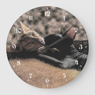 Reloj Redondo Grande Dos gatos Sphynx besándose - Foto real de amor