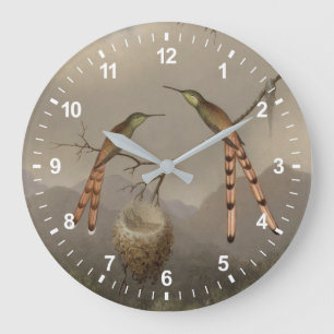 Reloj Redondo Grande Dos Hummingbirds con sus jóvenes