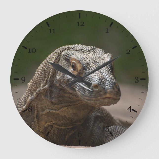 Reloj Redondo Grande Dragón del monitor de Komodo (Anverso)