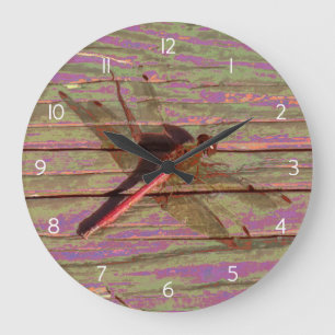 Reloj Redondo Grande Dragonfly Colorful