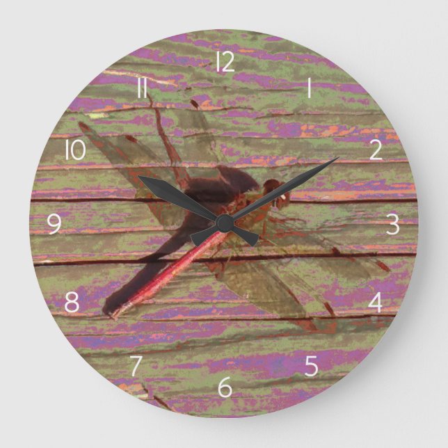 Reloj Redondo Grande Dragonfly Colorful (Anverso)