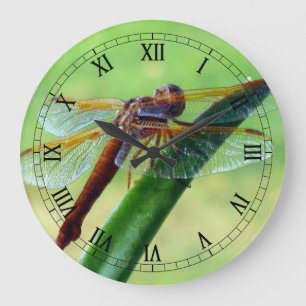 Reloj Redondo Grande Dragonfly on Aloe Macro Wall Clock