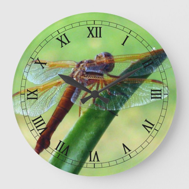 Reloj Redondo Grande Dragonfly on Aloe Macro Wall Clock (Anverso)