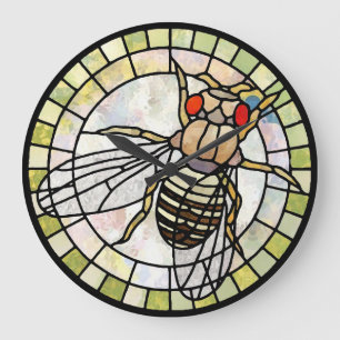 Reloj Redondo Grande Drosophila