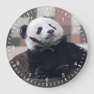 Reloj Redondo Grande Dulce Giant Panda Baby