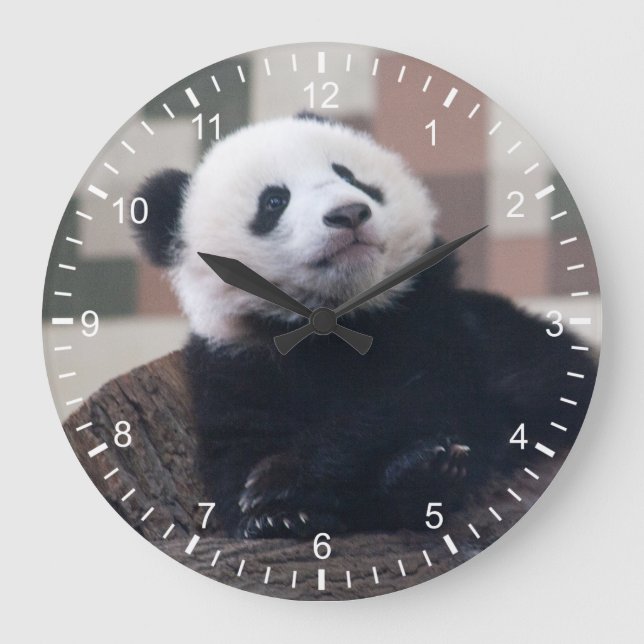 Reloj Redondo Grande Dulce Giant Panda Baby (Anverso)