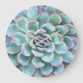 Reloj Redondo Grande Echeveria exitosa turquesa