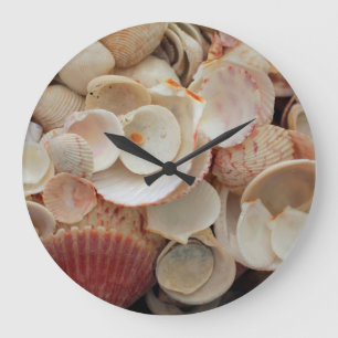 Reloj Redondo Grande EE. UU., Florida. Primer plano de conchas en Santa