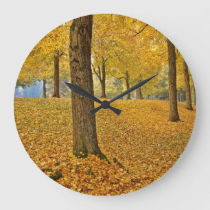 Reloj Redondo Grande EE.UU., Oregón, Portland. Linden Trees Americanos