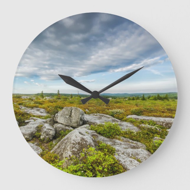 Reloj Redondo Grande EE.UU., Virginia Occidental, Davis. Paisaje en Dol (Anverso)