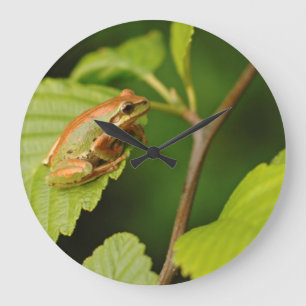 Reloj Redondo Grande EE.UU., Washington, Seattle, Discovery Park