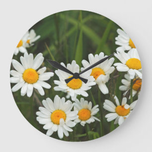 Reloj Redondo Grande EE.UU., Washington, Seattle, Puget Sound 3