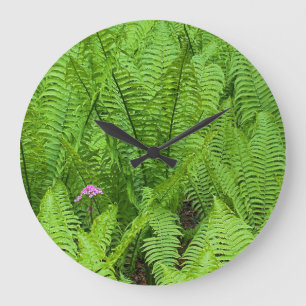 Reloj Redondo Grande EE.UU., Washington, Seattle, Washington Park