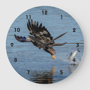 Reloj Redondo Grande El águila calva inmadura lanzando un pez