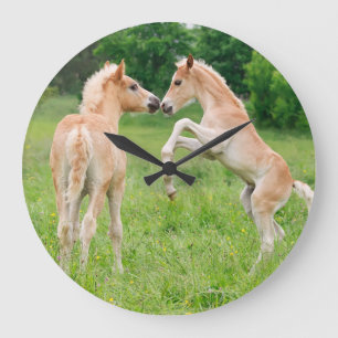 Reloj Redondo Grande El alzarse lindo de los potros de los caballos de