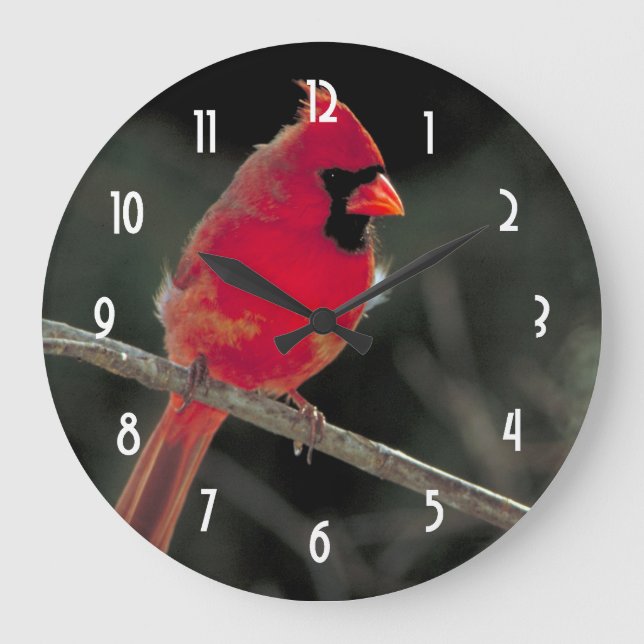 Reloj Redondo Grande El cardenal rojo encaramado en una rama de árbol (Anverso)