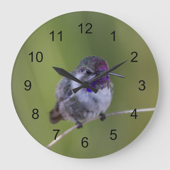 Reloj Redondo Grande El colibrí de agosto a la luz (Anverso)