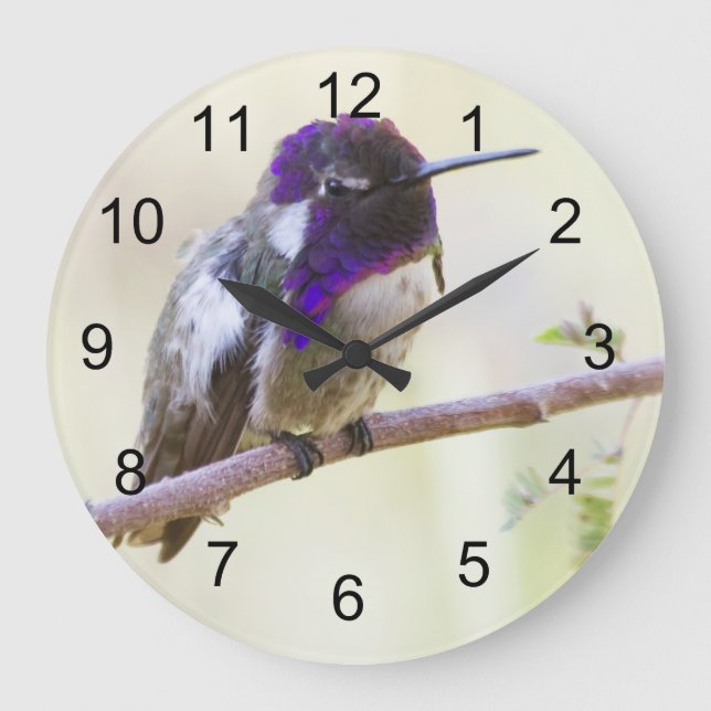 Reloj Redondo Grande El colibrí en una rama (Anverso)