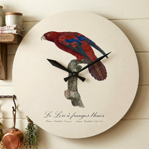 Reloj Redondo Grande El Lori de Franja Azul 