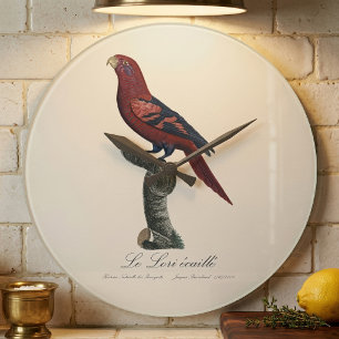 Reloj Redondo Grande El lori escamoso / Lori de rabadilla azul