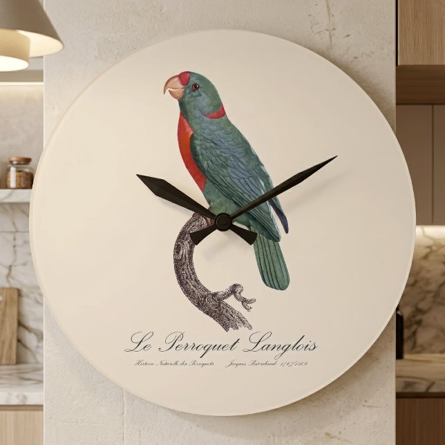 Reloj Redondo Grande El loro Langlois de Jacques Barraband (Le Perroquet Langlois by Jacques Barraband. Large Clock)