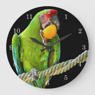 Reloj Redondo Grande El loro verde Ara Militaris