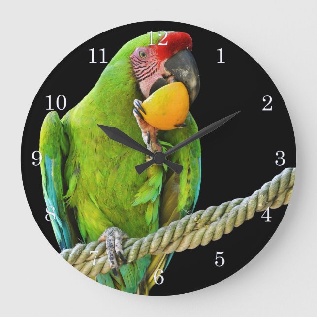 Reloj Redondo Grande El loro verde Ara Militaris (Anverso)
