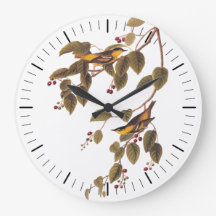 El pájaro embrujado carbonatado de Audubon en el á