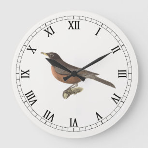 Reloj Redondo Grande El Robin Americano (Turdus migratorius) Aves de Nu