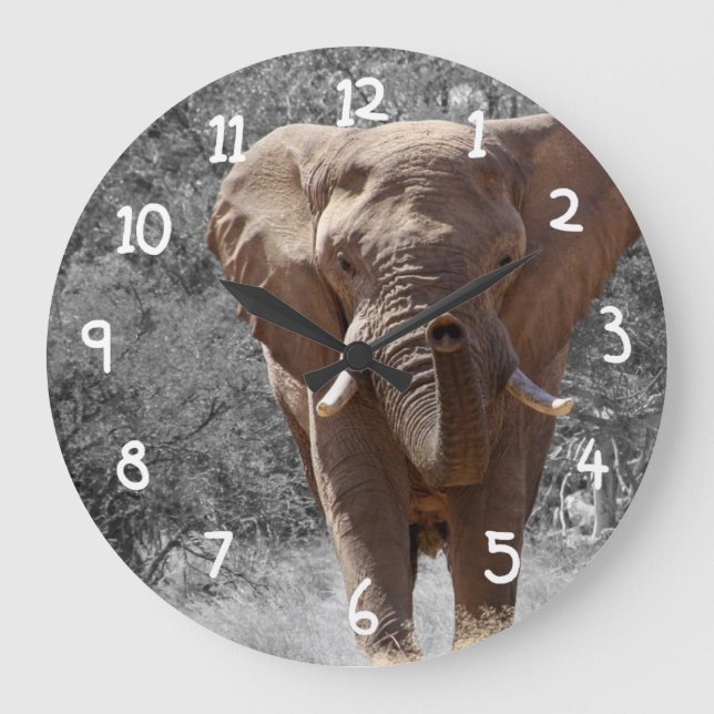Reloj Redondo Grande Elefante Africano (Anverso)