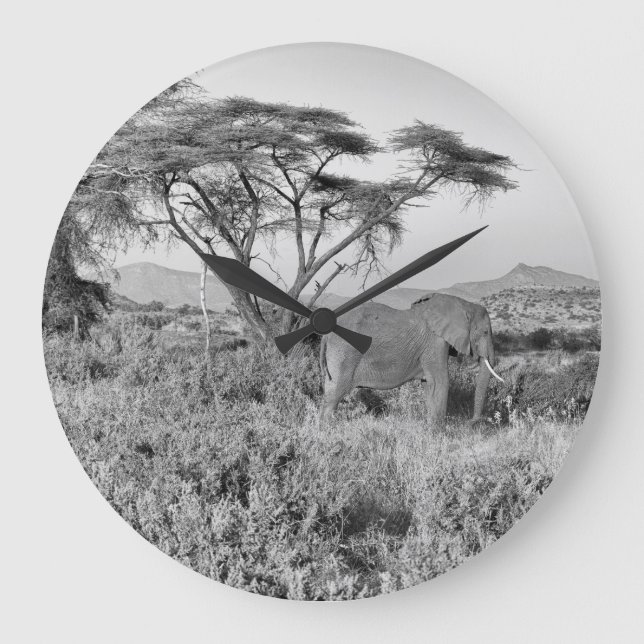 Reloj Redondo Grande Elefante en Samburu (Anverso)