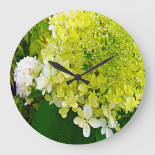 Reloj Redondo Grande Elegante Chartreuse Green Limelight Hydrangea